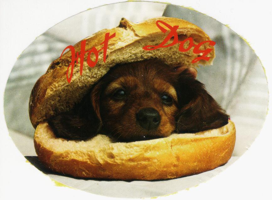 image: hotdog